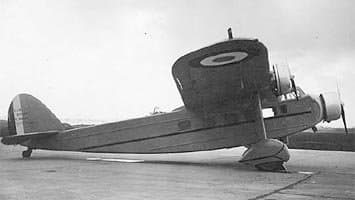 Bernard 160