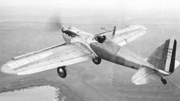 Bernard 260