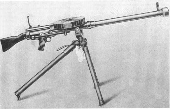 BSA 0.50