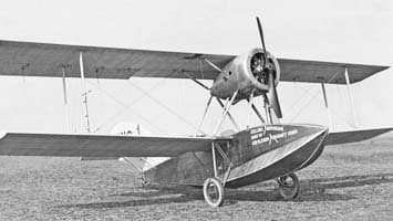 Stelling Amphibian