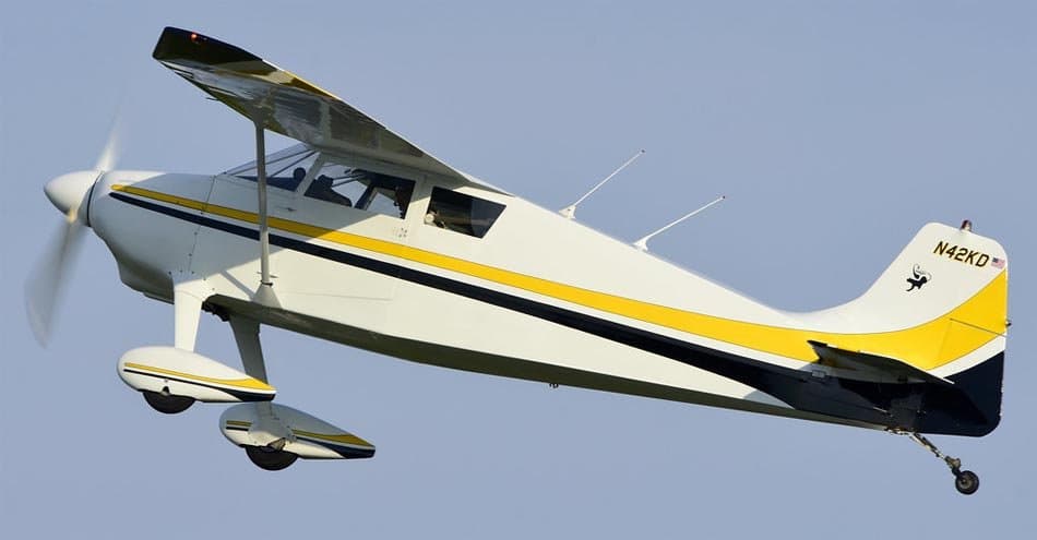 Nesmith Cougar