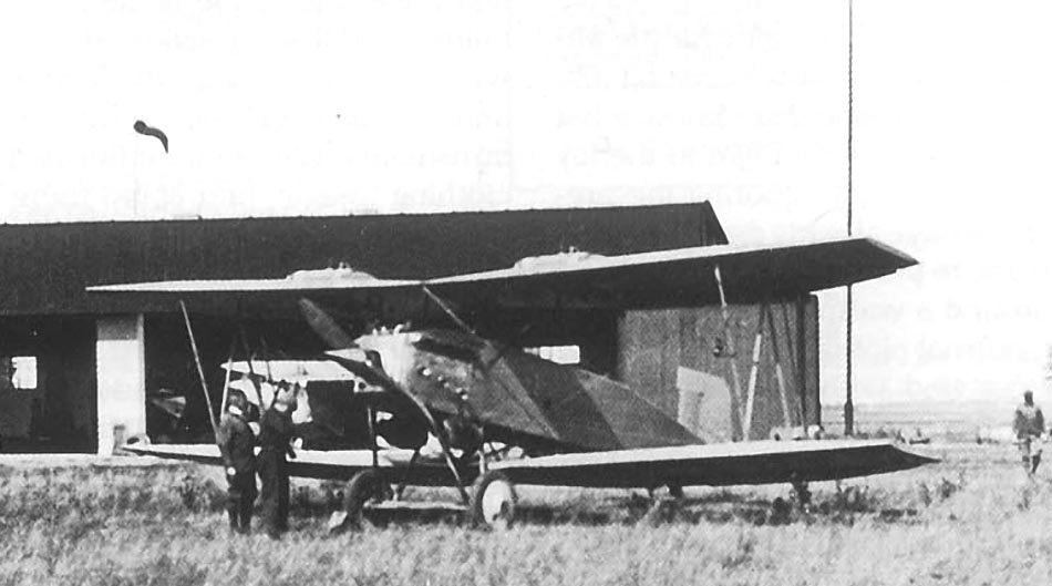 C.29