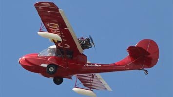Avid Catalina
